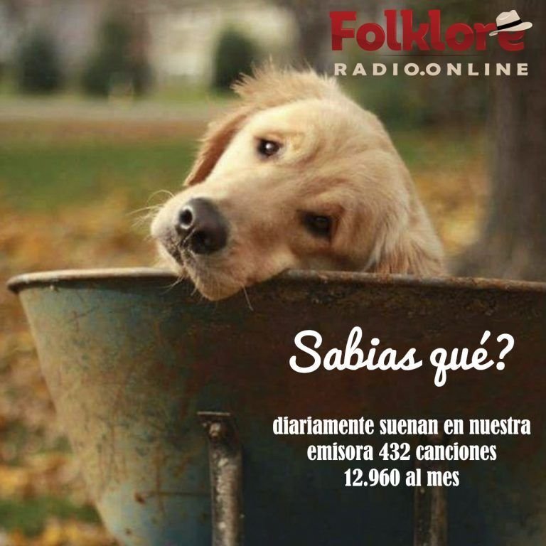¡Sabías qué?