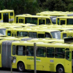 portada metrocinco plus